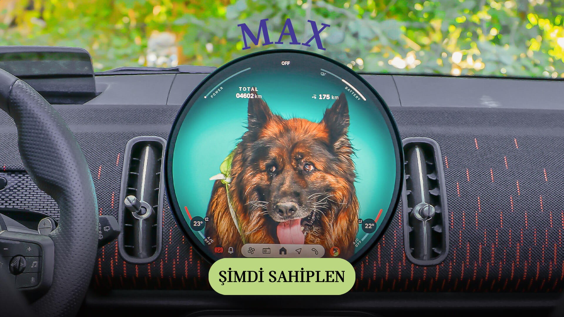 MINI Pati | MINI Türkiye